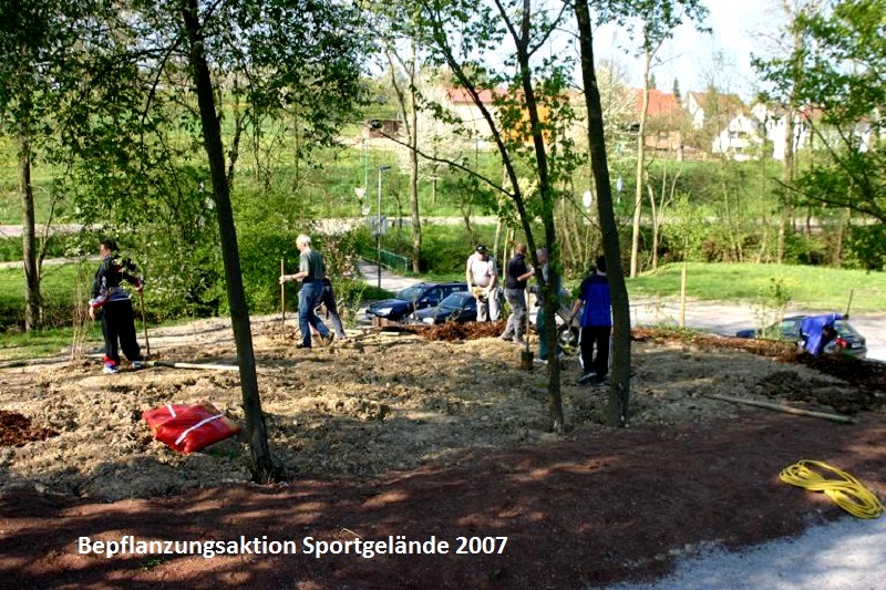 Pflanzaktion03