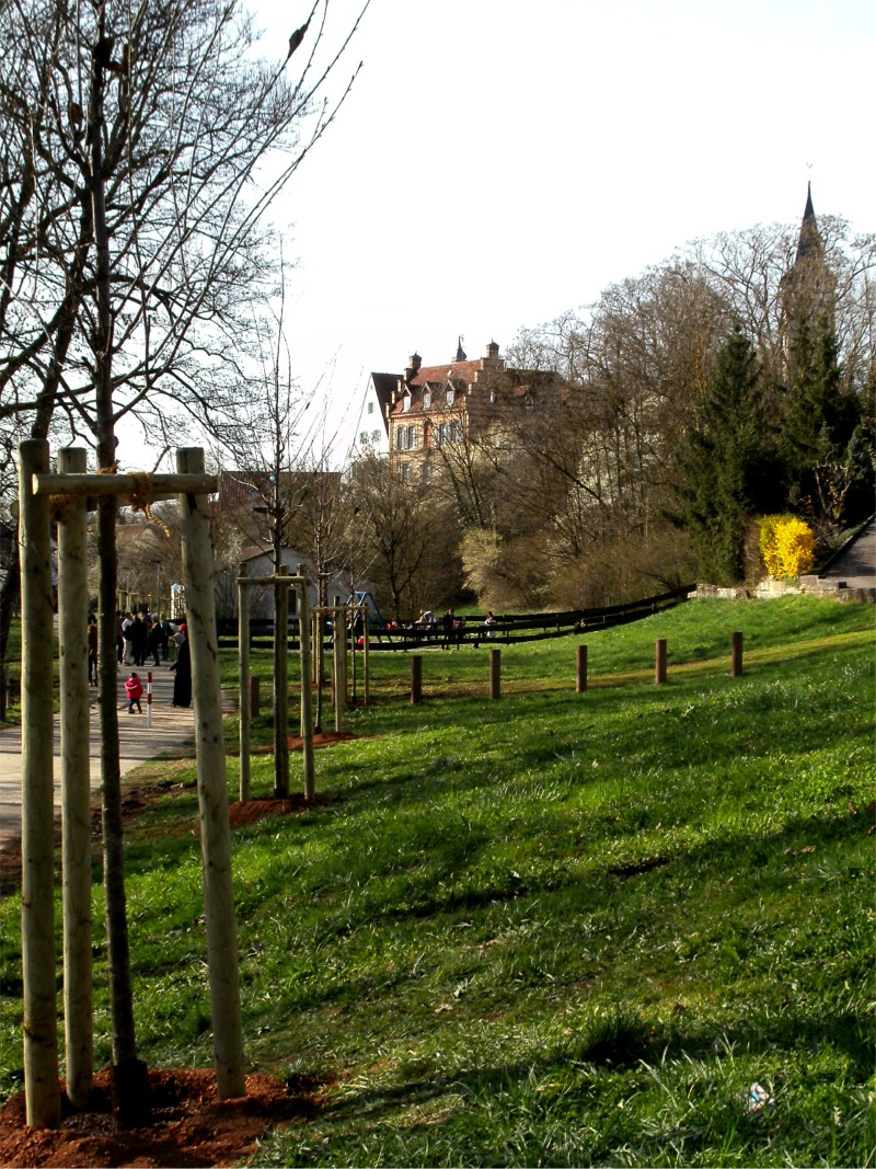 Links die neuen Bäume, im Hintergrund das Hochdorfer Schloss