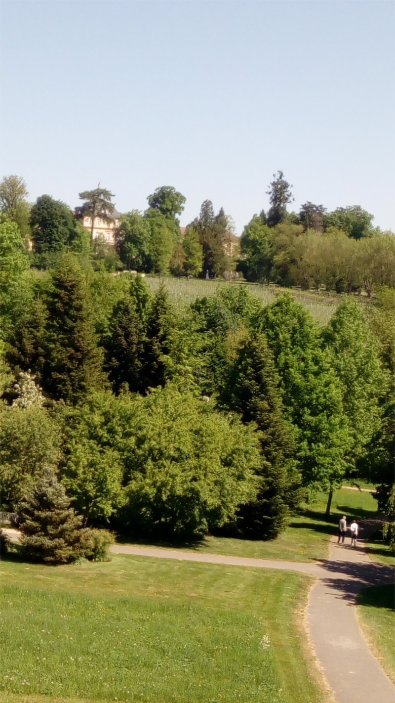 Blick auf das Schloss Hohenheim vom Monopteros im Landschaftsgarten