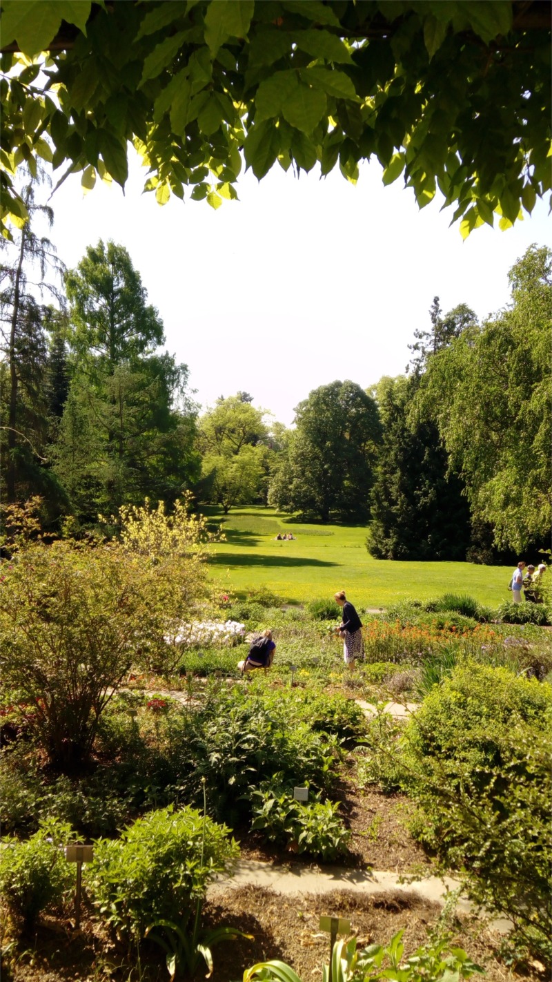 Blick in den Garten